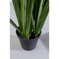 Deco Plant Rhynchostylis 150cm
