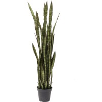 Plante décorative Sansewieria 155cm