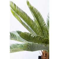 Deko Pflanze Cycas Tree 78cm
