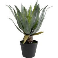 Deco Plant Agave 40cm