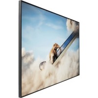 Framed Picture Elephant In The Sky 150x100cm