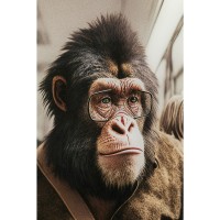 Glasbild Commuter Monkey 60x60cm