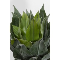 Deko Pflanze Agave 120cm