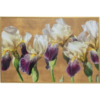 Gerahmtes Bild Iris 150x100cm