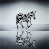 KARE Green Bild Glas Savanne Zebra 120x120 OCCASION
