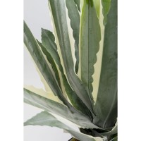 Deko Pflanze Agave 50cm