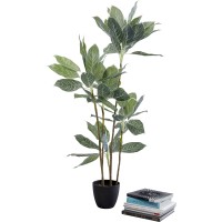 Plante décorative Calathea 140cm
