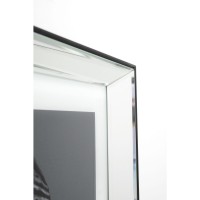 Tableau Frame Mirror King Dog 60x60cm