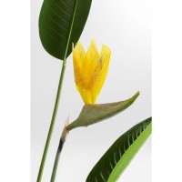 Deko Pflanze Paradise Flowers 190