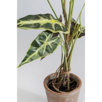 Deko Pflanze Alocasia 80cm