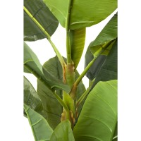 Deko Pflanze Banana Tree 180cm
