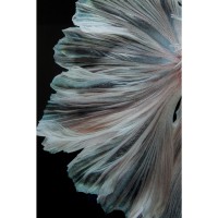 Quadro in vetro Colorful Swarm Fish 120x120cm