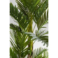 Decoration Plant Palm Tree 190