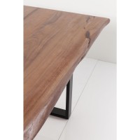 Table Harmony foncé chromé 200x100cm