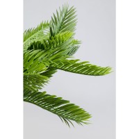 Deco Plant Cycas 70cm