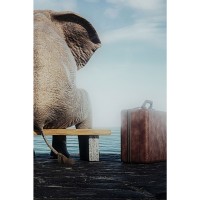 Glasbild Elephant Journey 60x40cm