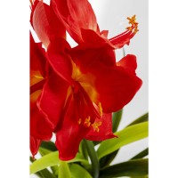 Deko Pflanze Amaryllis Rot 98