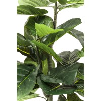 Pianta decorativa Fiddle Leaf 120cm