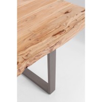 Table Harmony acier brut 200x100cm