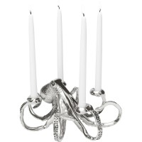 Candlestick Octopus