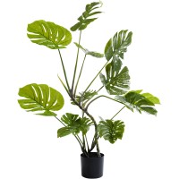 Decoration plant Monstera 110