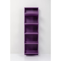 Shoe Container Caruso 5 Purple (MO)