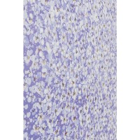 Toile Fleur Bateau Violet Blanc 120x160cm