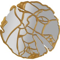 Pezzi specchio da parete oro Ø100cm