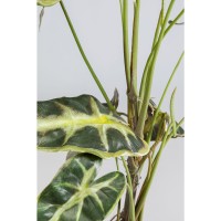 Deko Pflanze Alocasia 80cm
