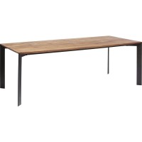 Table Phoenix 100x220cm