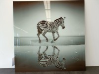 KARE Green Bild Glas Savanne Zebra 120x120 OCCASION