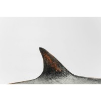 Figura decorativa Shark Base 59cm