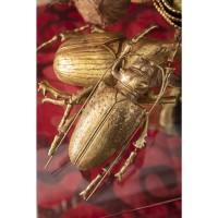Decorazione da parete Longicorn Beetle oro