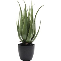 Pianta decorativa Aloe 69cm