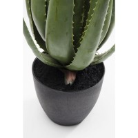 Deco Plant Aloe 69cm