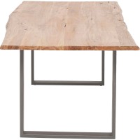 Table Harmony acier brut 200x100cm
