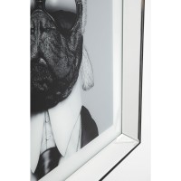 Image Frame Mirror Designer Dog 60x60