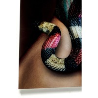 Glasbild Snake Girl 80x120cm