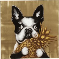 Bild Touched Dog with Pineapple 80x80cm