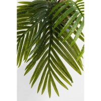 Pianta decorativa Palm Tree 190cm