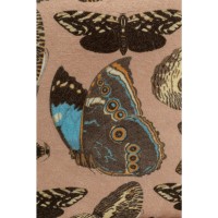 Cuscino Butterfly Family 40x40cm