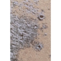 Carpet Colombu Powder 200x300cm