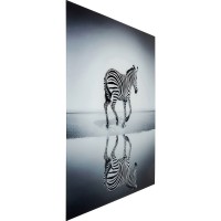 Picture Glass Savannah Zebra 120x120