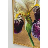 Quadro incorniciato Iris 150x100cm
