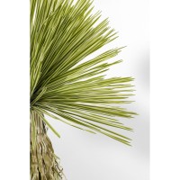 Deko Pflanze Yucca Rostrata 180cm