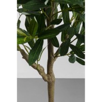 Plante décorative Olive Tree 150cm