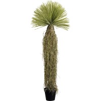 Pianta decorativa Yucca Rostrata 180cm