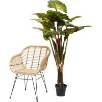 Deco Plant Rainforest Green 160cm