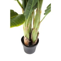 Plante décorative Banana Tree 180cm