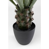Deco Plant Agave 85cm
